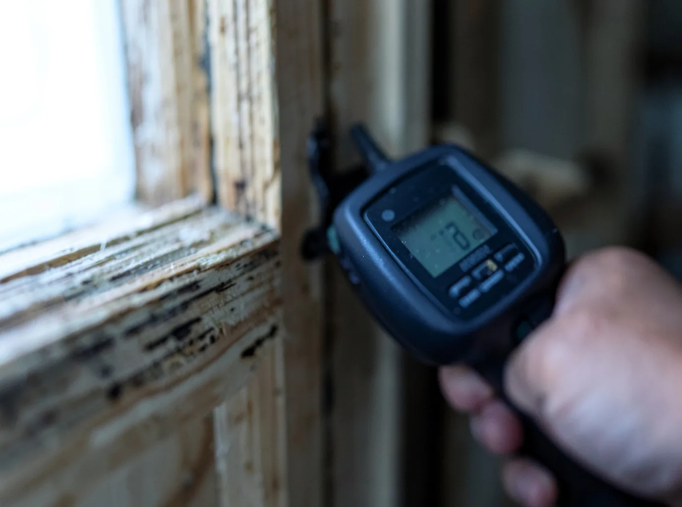 Burst Pipe Water Damage in Bergheim, TX